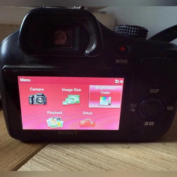 Sony Black Digital Camera with Ergonomic Grip and Hot Shoe Mount